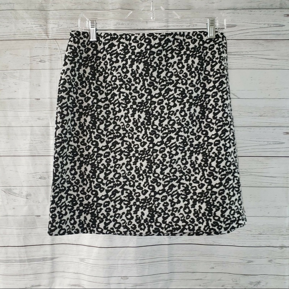 Express Skirt ✨